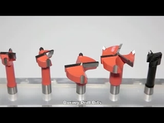 Hartmetall des Schaft-10x20mm fügte Spitzen-hölzernen Loch-Bohrer ein